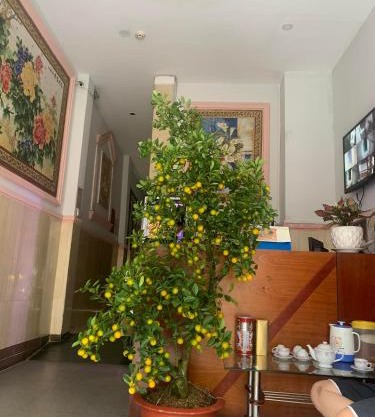 Khách sạn Ánh Nguyệt 1
