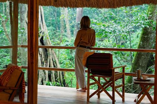 Koroi Forest Camp
