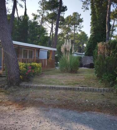 La Margotine