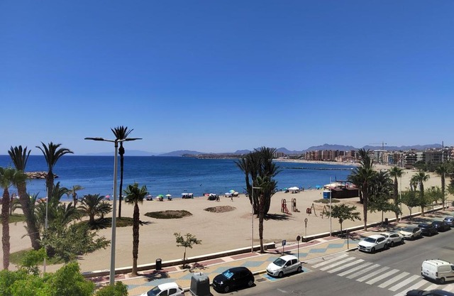 Las Palmeras 1