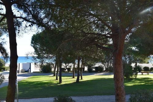 Residence Sea Golf Port Argelès People Mountain Side 
