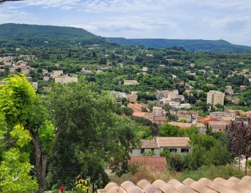 Le jardin des oliviers