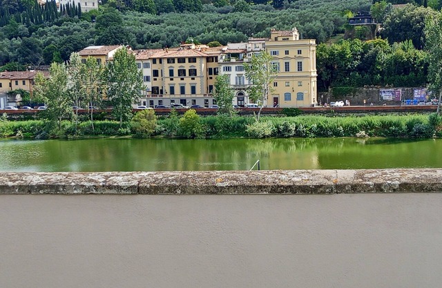 Le Rêve De Naim - Firenze
