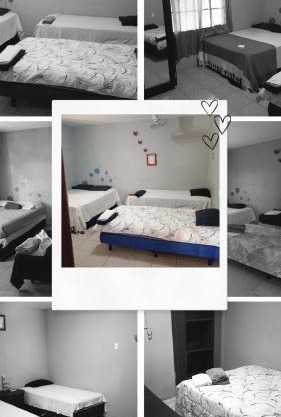 Lirio Green hostal