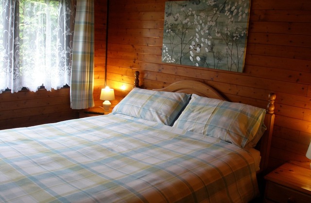 LLWYNAU FARM PINELODGES - LLANTRISANT -ONLY 12 MILES FROM CARDIFF.