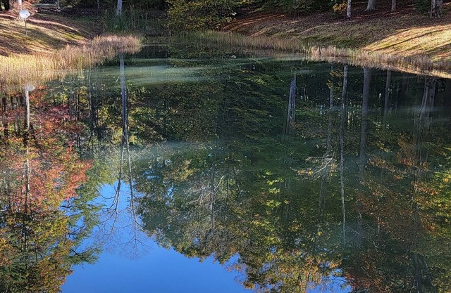 Located minutes from golf & a nature reserve, stay in a private 5 acre oasis