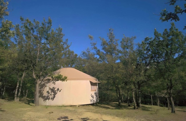 Yurt Swimming 