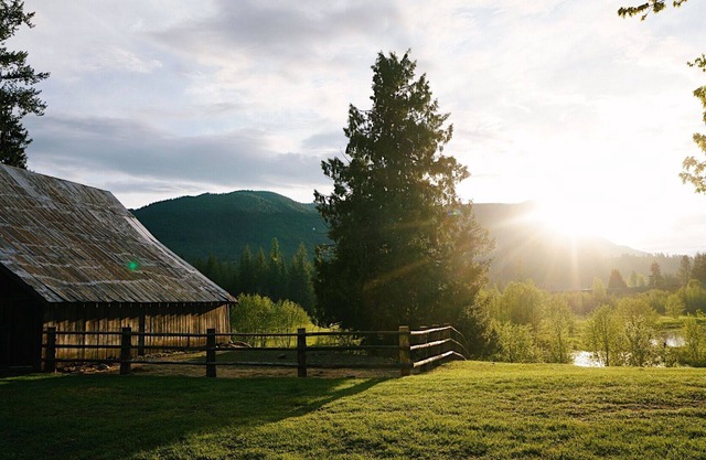 Longhorn Cabin- Chapman Springs