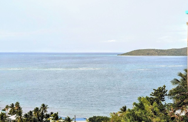 Lookout Point @ Coakley Bay