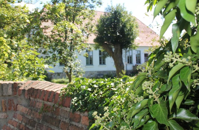 Luxuriou Apartment in Steffenshagen with Fireplace