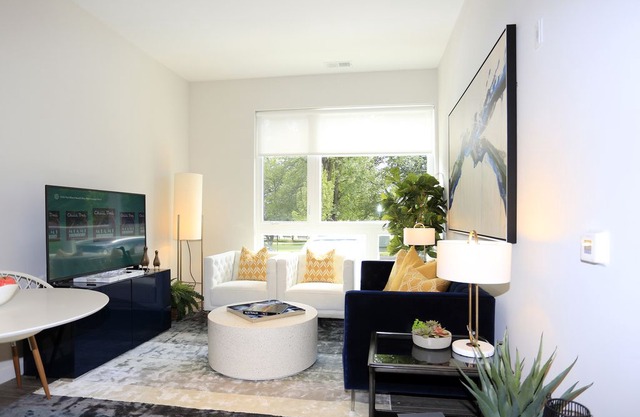 Luxury 1Br Park-View Apt. in Downtown New Haven