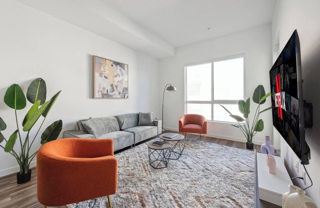 Luxury 1BR with pool, jacuzzi, free parking