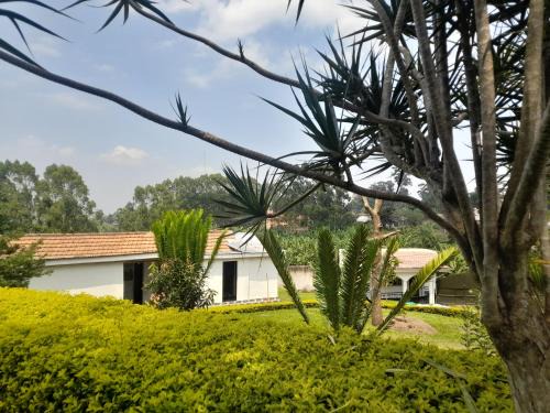 Maasai Villa Backpackers Home