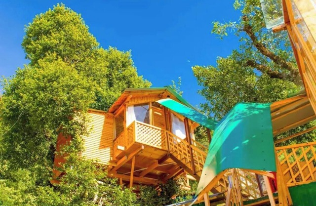 Manali Treehouse And Cafe