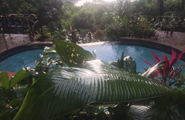 Mango Moon Villa