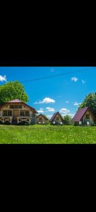 Maple bungalows