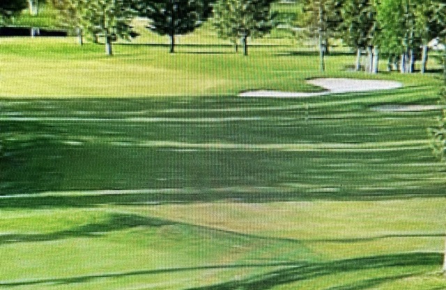 Meadow lake Resort