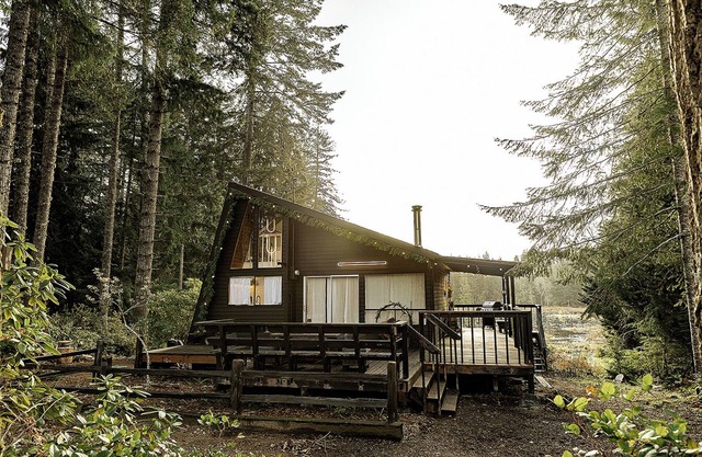 MODERN FOREST CABIN + HOT TUB + STEAM SAUNA