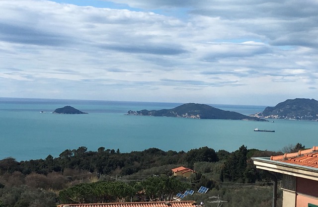 Montemarcello View