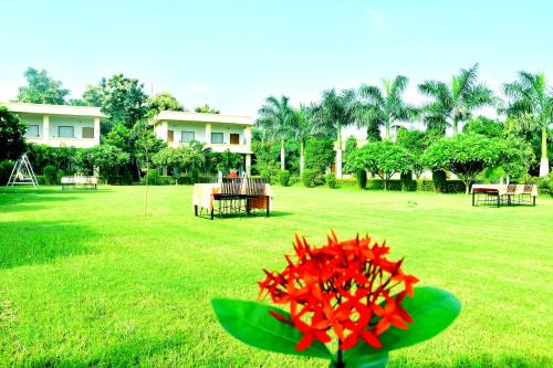 Motibagh