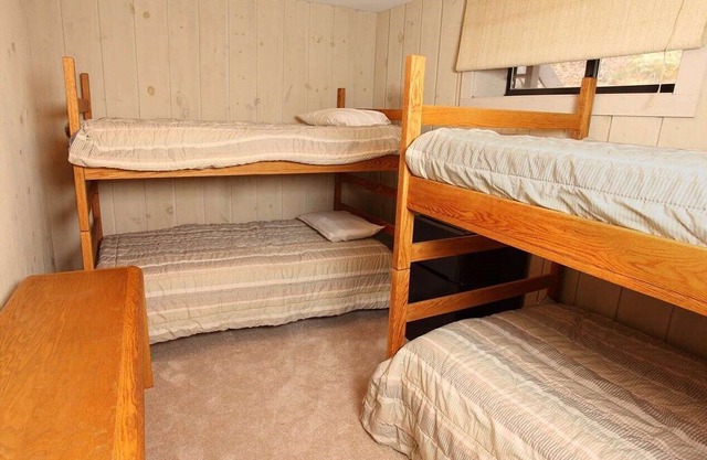 MT SNOW | SKI BACK TRAIL | FREE SHUTTLE - Green Mountain Den