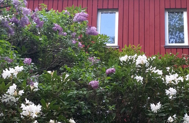 Natural idyll on the edge of the forest - family-friendly and quiet