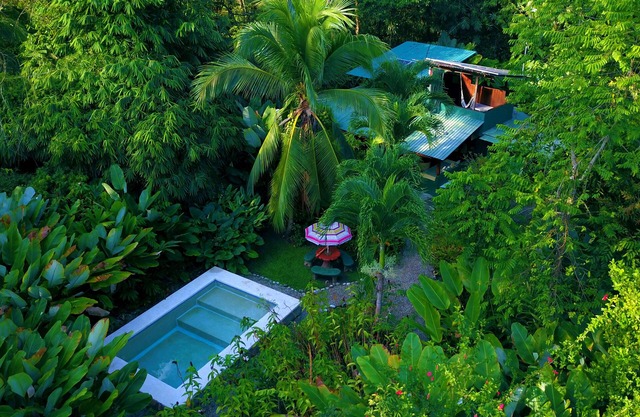 Nature Lover's Paradise - 2 BR/1.5 Bath, Pool & Gardens on the Beach
