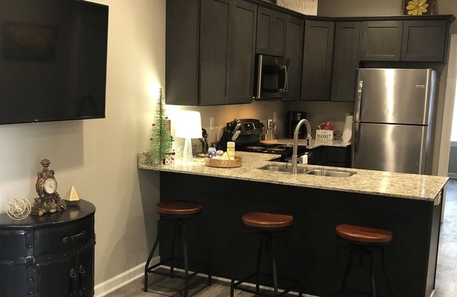 New Condo - Sleeps 4 - Downtown Lafayette! #208