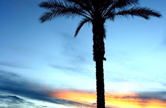NEW Opening NOW! 3 HEATED Pools Spa's GOLF Palms Mtns & Sunsets.Welcome!