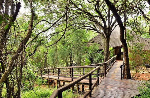 Nibela Lake Lodge by Dream Resorts