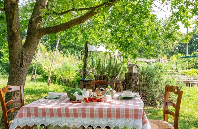 Nice apartment for 3 guests with WIFI, TV, terrace and pets allowed