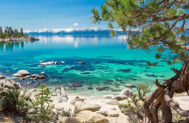 Nightingale Apt · Breathtaking Lake View Remodeled Old Tahoe Cabin