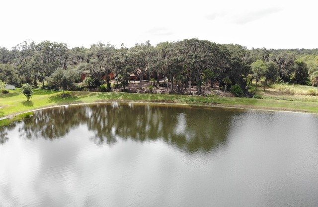 Oak Hammock On The Lake