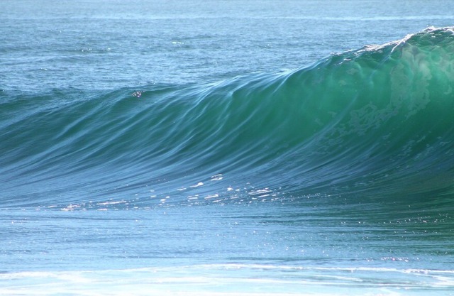 'Ocean View' - Bar Beach
