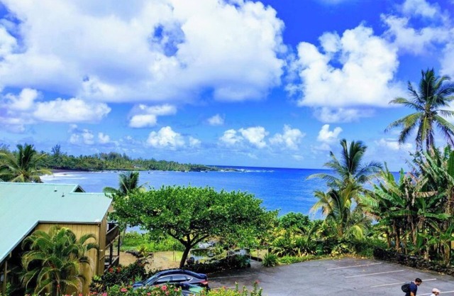 Oceanview Condo in Hana-Let the ocean lull you to sleep