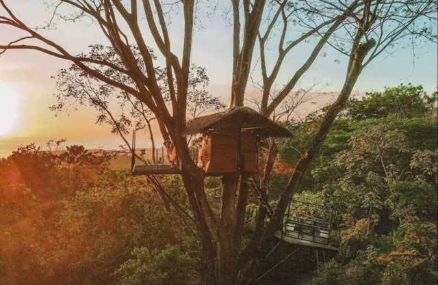 Oceanview Jungle tree house