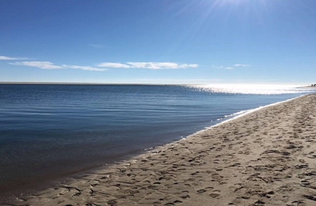 Old Cape Cod Charm in Chatham MA, 1/4 mile Walking Distance to Hardings Beach