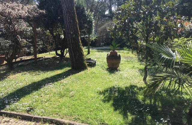 Old Town in the green: Federico's apartment.