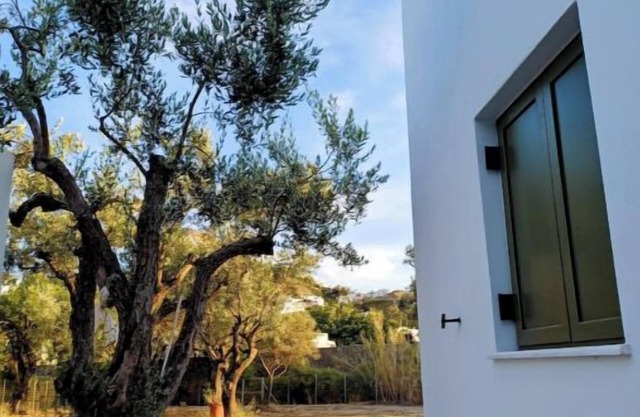 OLIVE GROVE VILLA SKYROS ISLAND