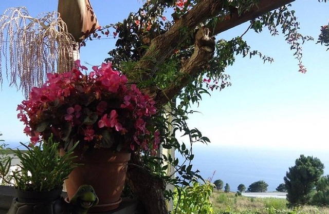 Palheiro Cavalinho In Madeira