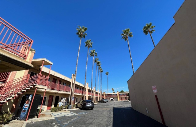 Palm Tree Inn