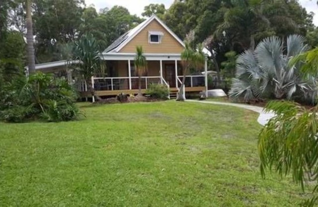 Pandanus in Cowan Cowan
