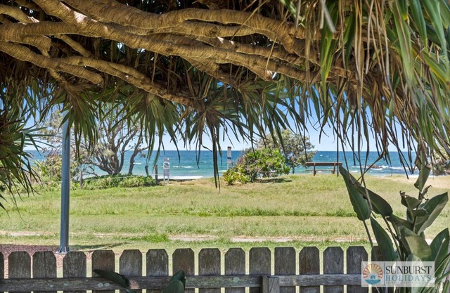 Pandanus on Emerald