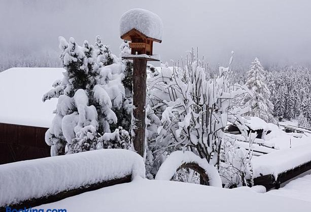 Pension Fürhapter mit Bio- Bauernhof