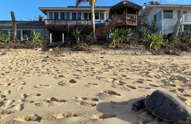 PERFECT LOCATION BEACH FRONTnINQUIRE special discounts reduced rates for march