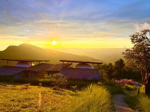Phuchifa Sky Camp ร้อยรักภูชี้ฟ้า