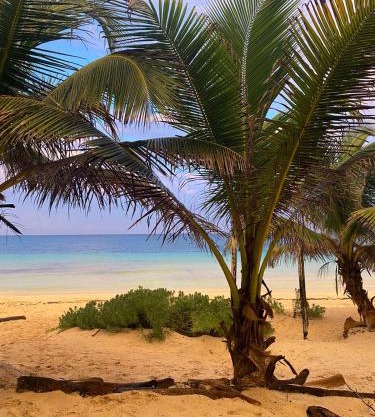 Playa Lakin-ha beachfront cabins