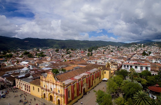 Plaza Magnolias