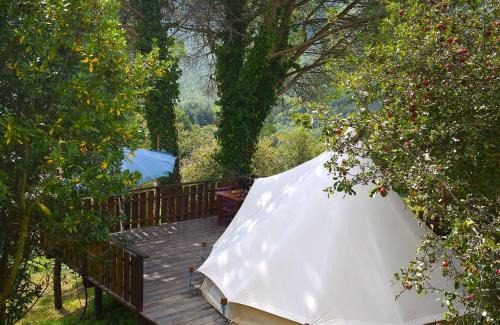 Podere di Maggio - Glamping tent 4