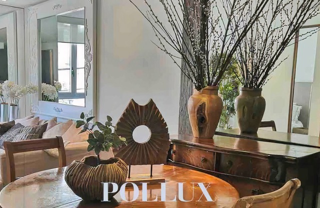 Polanco Designer Apartament